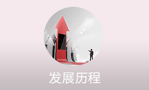 发展历程